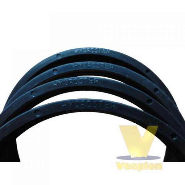 Sealing rings for Hydroster hydraulic cylinder SD1B